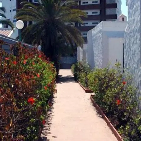 Tenesoya Gay Men Only Playa del Inglés