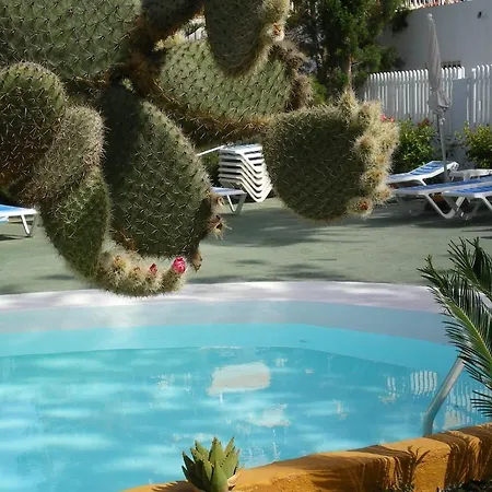 Tenesoya Gay Men Only