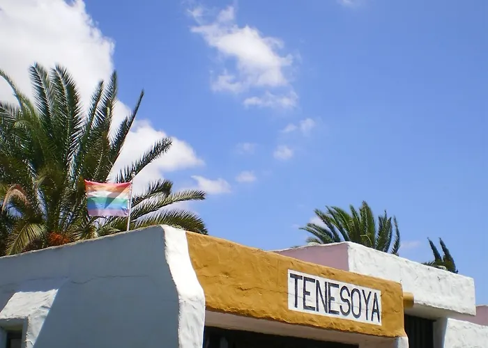Tenesoya Gay Men Only Feriested Playa del Inglés