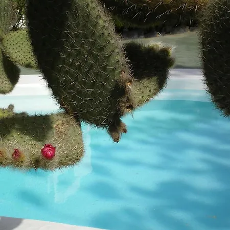 Tenesoya Gay Men Only Θέρετρο