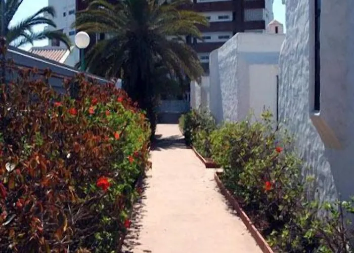 Tenesoya Gay Men Only Плайя-дель-Інглес