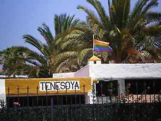Tenesoya Gay Men Only Курортний комплекс Плайя-дель-Інглес