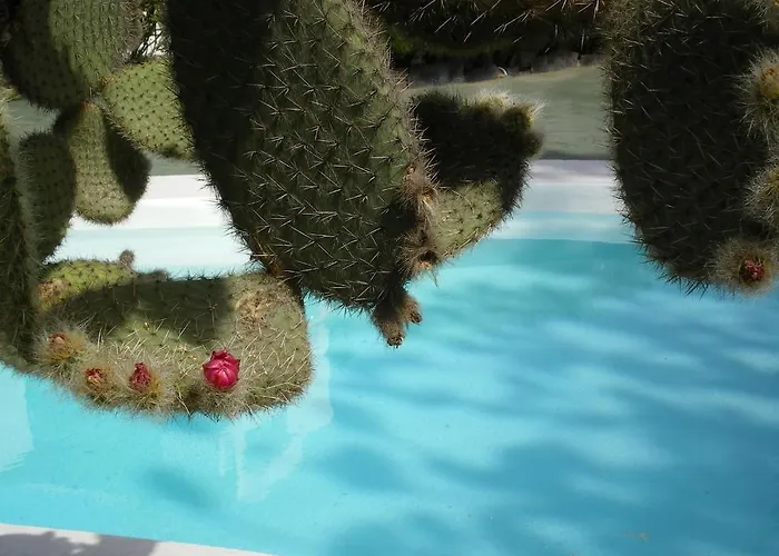 Tenesoya Gay Men Only Rezort